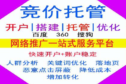 案例分析：百度推广效果优化技巧